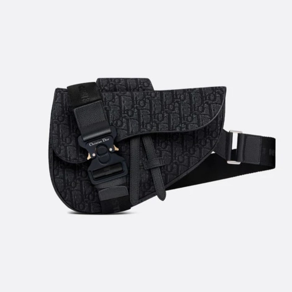 디올 SADDLE 백