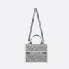 디올 Book Tote 스몰 백